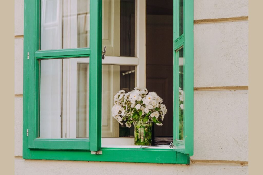 Ventana abierta con luz natural y plantas, imagen de la especialidad en terapia para la depresión.